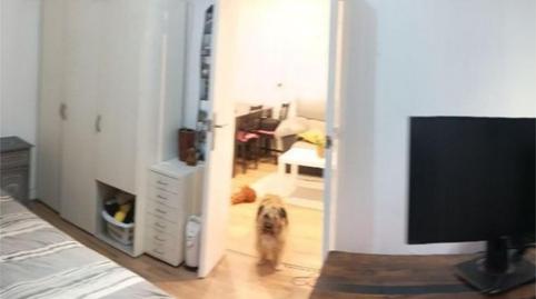 Photo 5 of Flat to share in Carrer D'escòcia, 24, Vilapicina i la Torre Llobeta,  Barcelona Capital