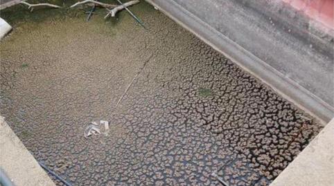 Photo 5 of Single-family semi-detached for sale in Costa Cunit - Els Jardins - Els Rosers, Tarragona