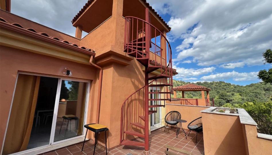 Pis de lloguer a Avenida Aljaima, 15, Reserva de Marbella, Málaga - imatge 1 Foto 1 de Pis de lloguer a Avenida Aljaima, 15, Reserva de Marbella, Málaga