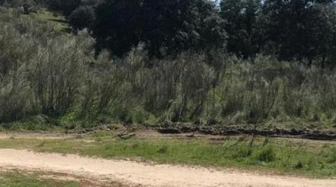 Foto 4 de Finca rústica en venda a M-505, 10, La Cañadilla, Madrid