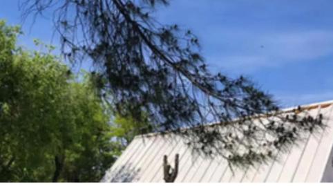 Foto 2 de Finca rústica en venda a M-505, 10, La Cañadilla, Madrid