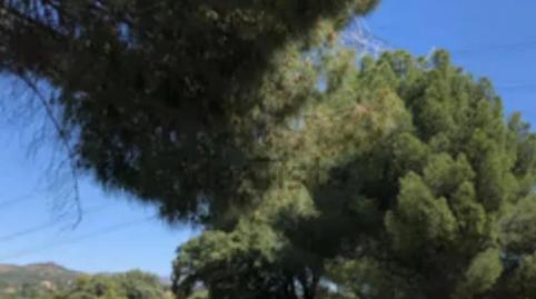 Foto 5 de Finca rústica en venda a M-505, 10, La Cañadilla, Madrid