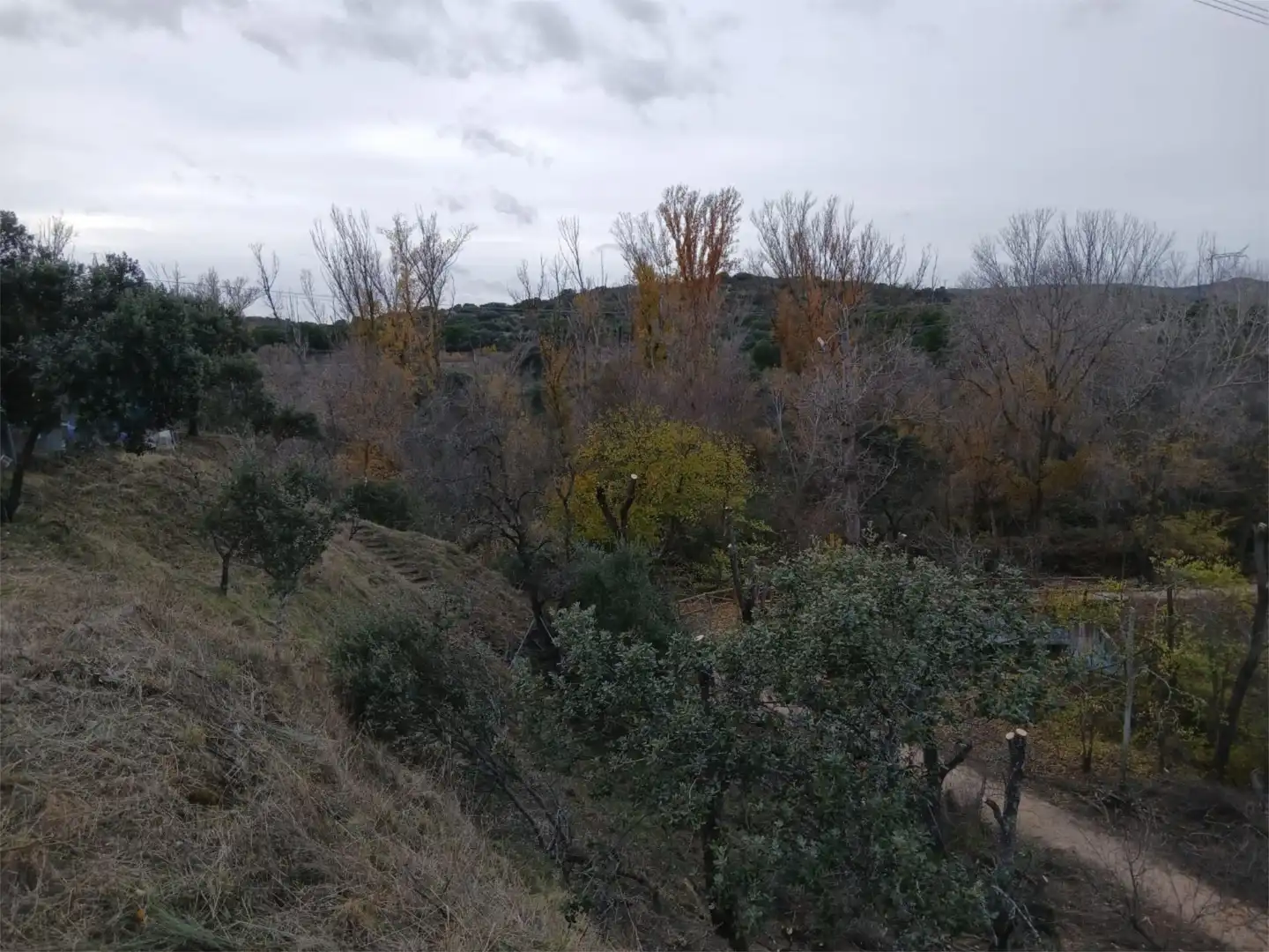 Finca rústica en venda a M-505, 10, La Cañadilla Finca rústica en venda en Las Rozas de Madrid