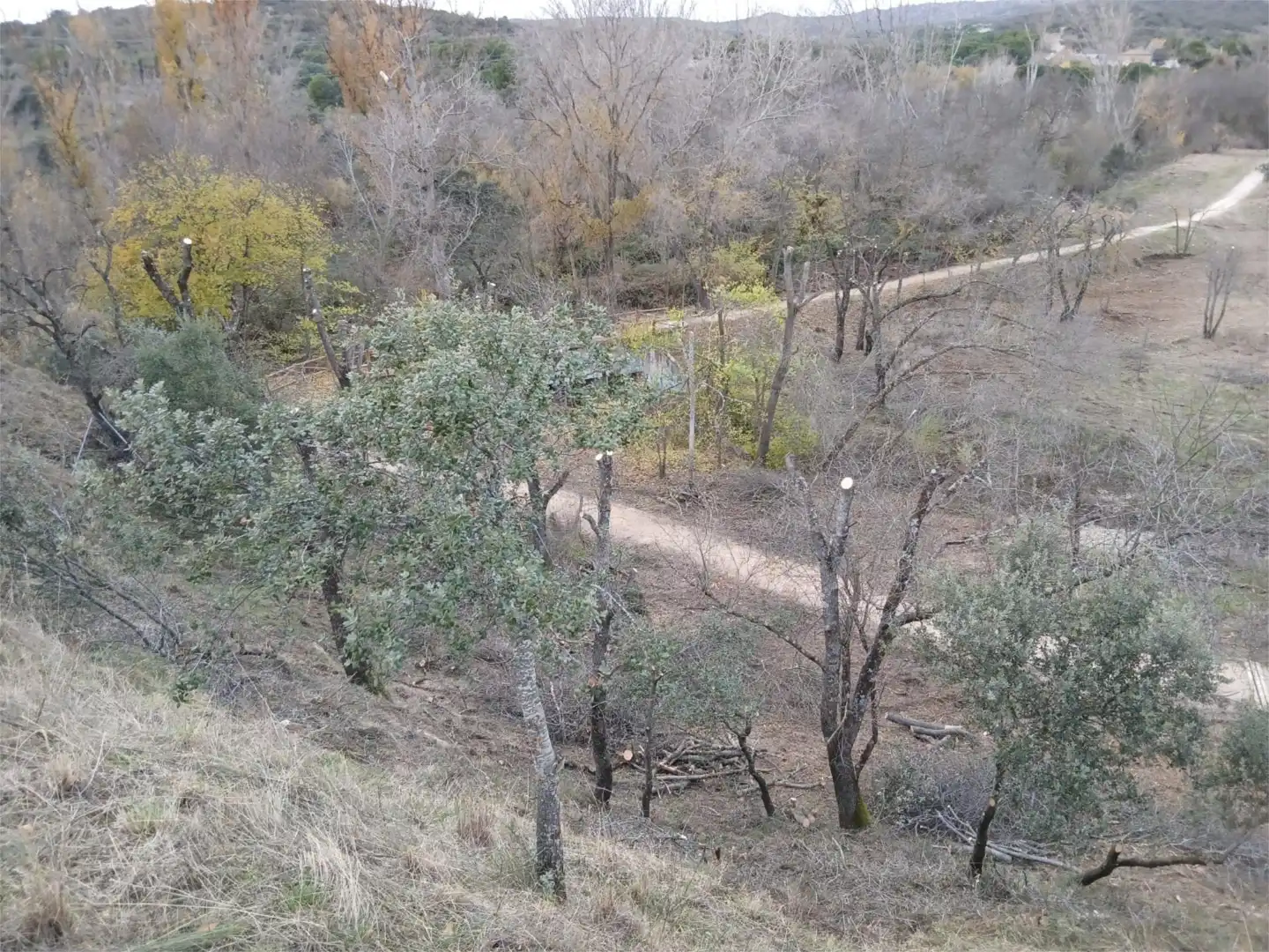 Finca rústica en venda a M-505, 10, La Cañadilla Finca rústica en venda en Las Rozas de Madrid