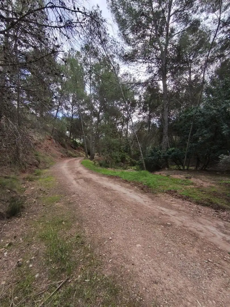 Terreno en venta en Calle Sauces, 23, Corral Nou - Montros - Estepar Vista exterior de Terreno en venta en Náquera