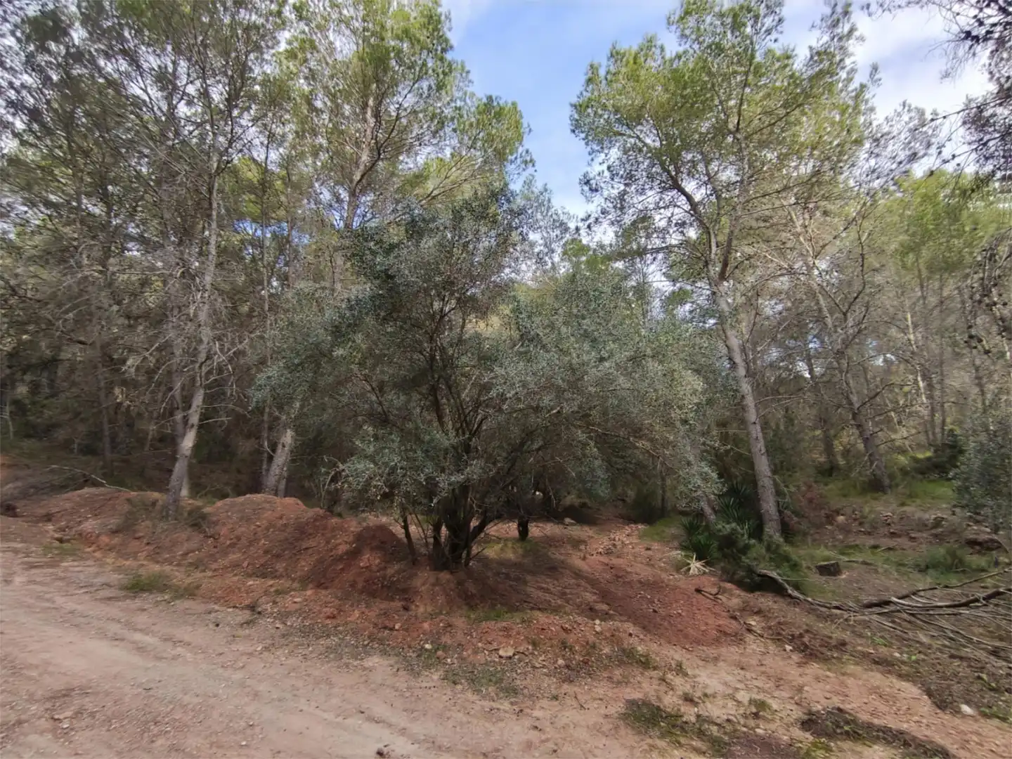 Terreno en venta en Calle Sauces, 23, Corral Nou - Montros - Estepar Terreno en venta en Náquera