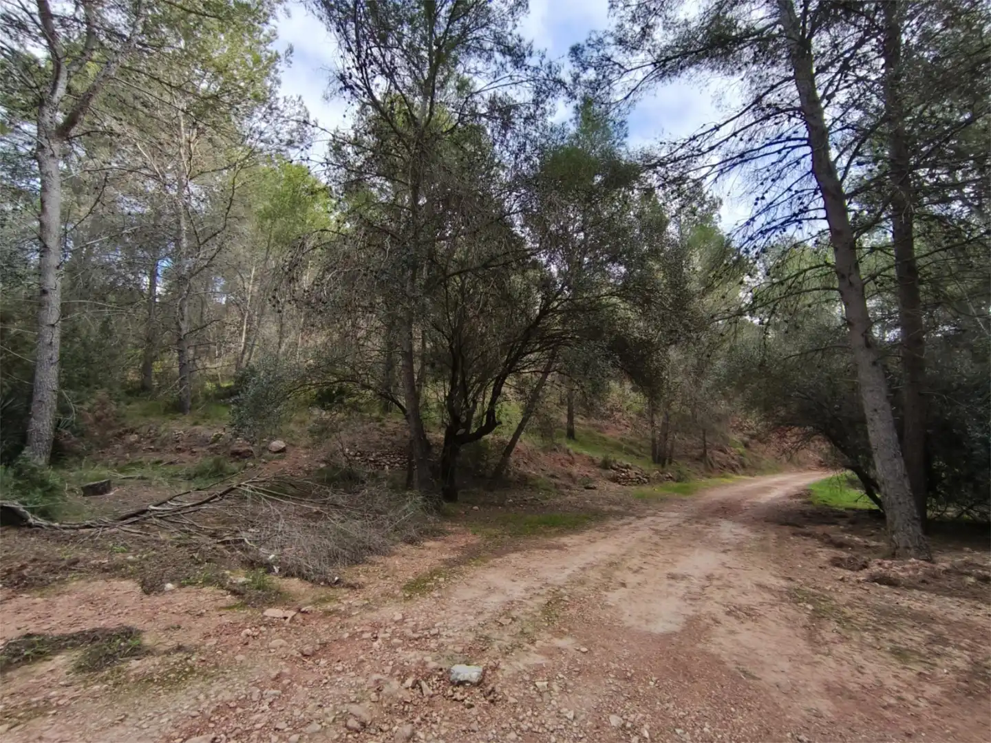 Terreno en venta en Calle Sauces, 23, Corral Nou - Montros - Estepar Terreno en venta en Náquera