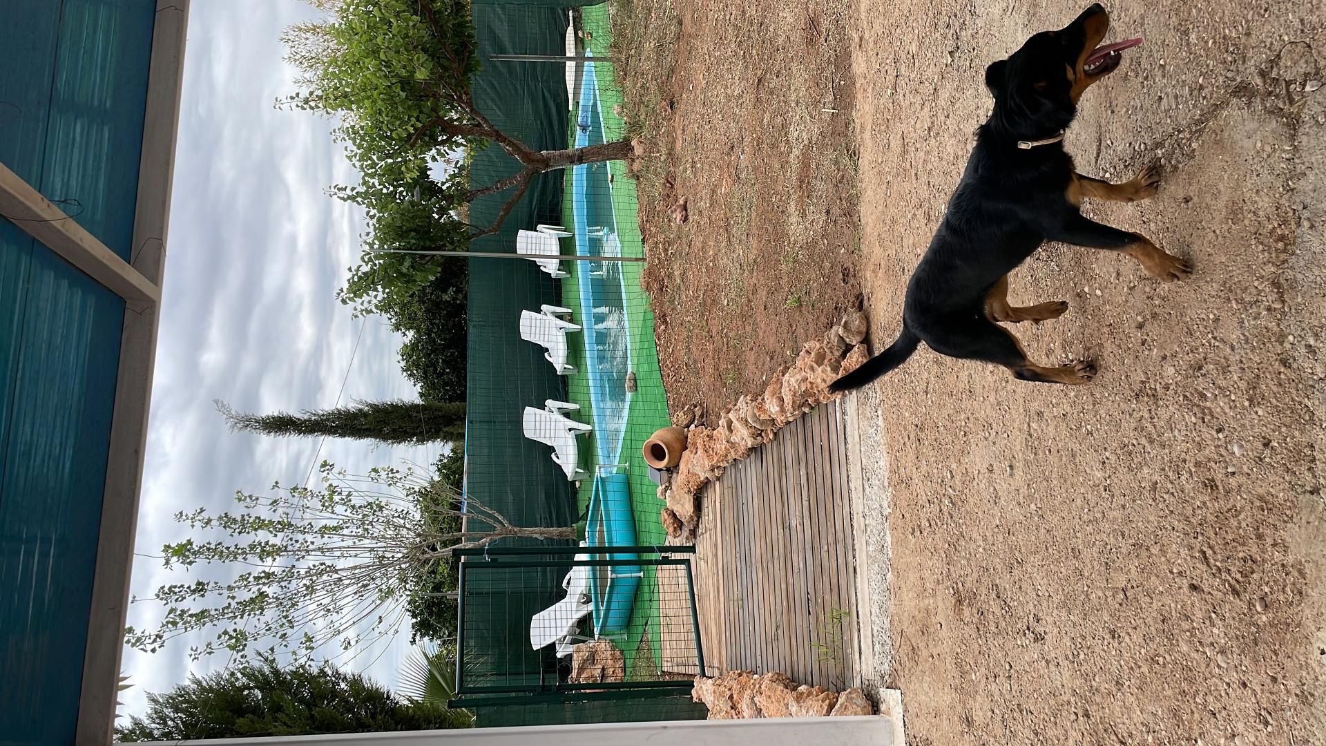 Schwimmbecken von Country house zum verkauf in Beniparrell mit Klimaanlage, Privatgarten und Schwimmbad