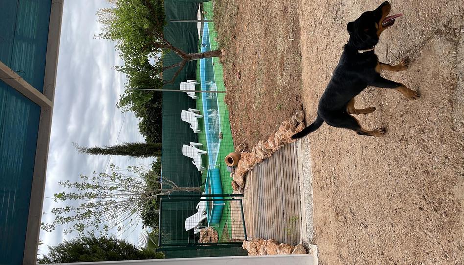 Foto 1 de Finca rústica en venta en Carrer del Barranc, 46, Beniparrell, Valencia