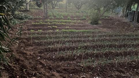 Foto 4 de Finca rústica en venta en Carrer del Barranc, 46, Beniparrell, Valencia
