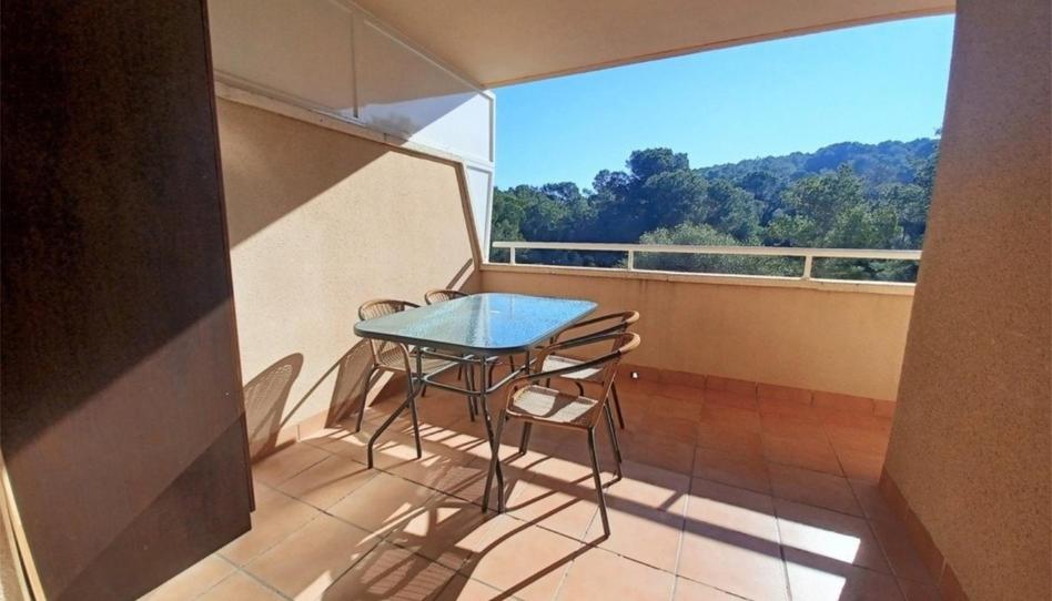 Flat for sale in Carretera de la Costa, 64, Pla de Maset - Cap de Salou, Tarragona - image 1 Photo 1 of Flat for sale in Carretera de la Costa, 64, Pla de Maset - Cap de Salou, Tarragona