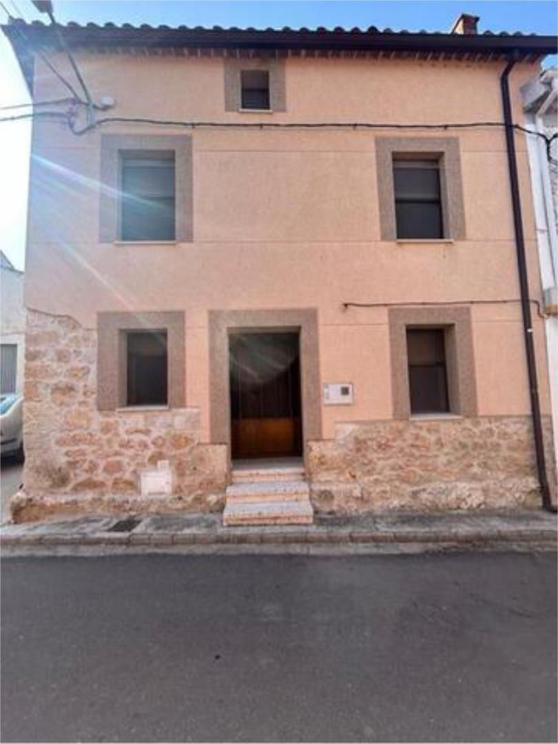 Vista exterior de Casa o xalet en venda en Castrillo de Don Juan amb Jardí privat i Traster