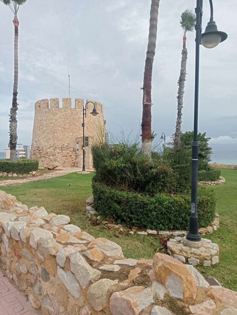 Vista exterior de Casa o xalet de lloguer en Torrevieja amb Aire condicionat, Calefacció i Jardí privat
