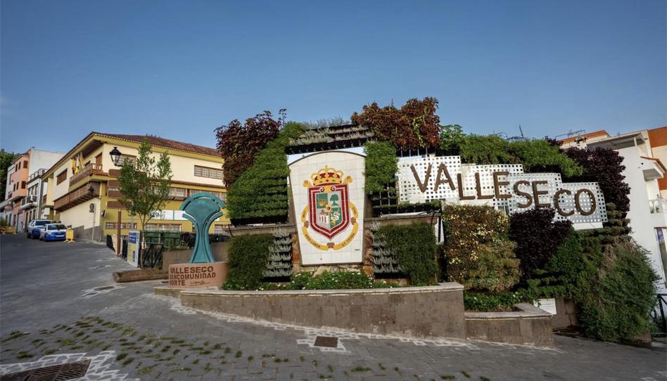 Piso de alquiler en Calle Los Molinas, 32, Valleseco, Las Palmas - imagen 1 Foto 1 de Piso de alquiler en Calle Los Molinas, 32, Valleseco, Las Palmas