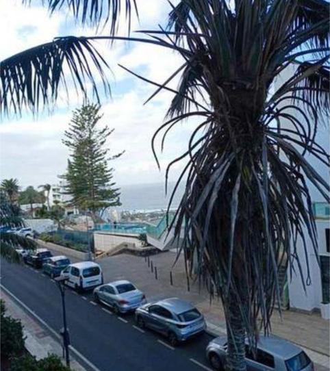 Piso de alquiler en Santa Úrsula pueblo, Santa Cruz de Tenerife - imagen 2 Foto 2 de Piso de alquiler en Santa Úrsula pueblo, Santa Cruz de Tenerife