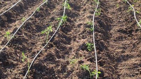 Foto 2 de Finca rústica en venda a Calle Santa Teresa de Jesús, 6, Centro - Corte Inglés, Toledo