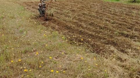 Foto 4 de Finca rústica en venda a Calle Santa Teresa de Jesús, 6, Centro - Corte Inglés, Toledo