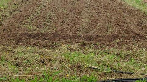 Foto 5 de Finca rústica en venda a Calle Santa Teresa de Jesús, 6, Centro - Corte Inglés, Toledo