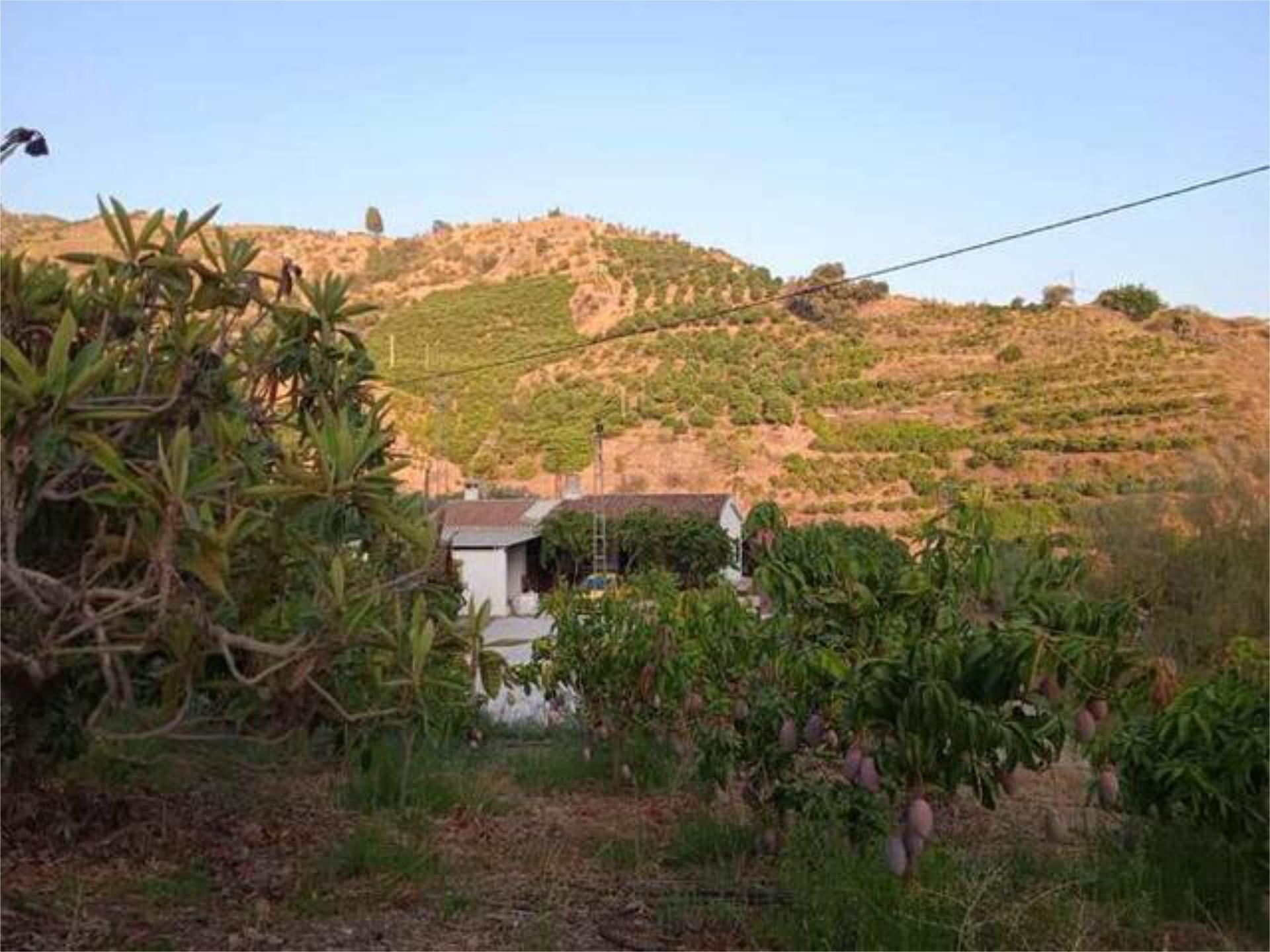 Single-family semi-detached for sale in Cútar
