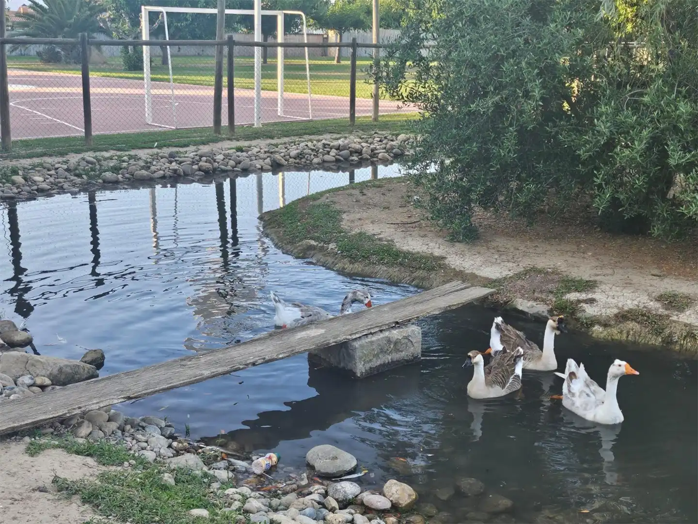 Finca rústica en venta en Carrer Roderes, 9, Vilanova de Segrià Finca rústica en venta en Carrer Roderes, 9, Vilanova de Segrià