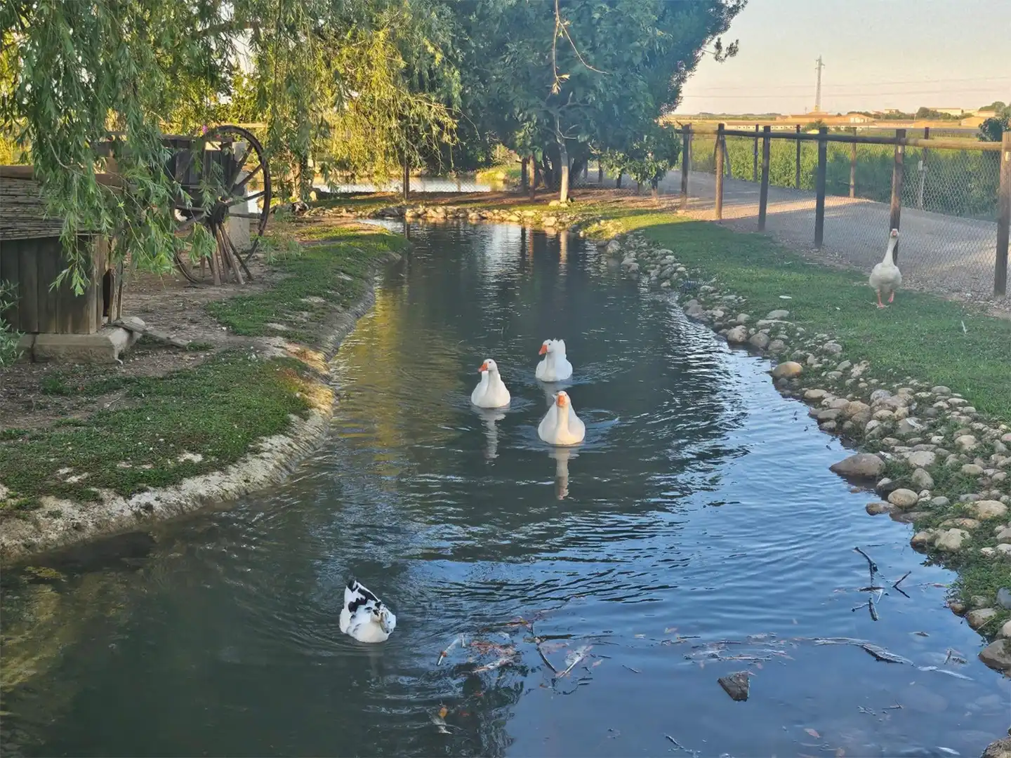 Finca rústica en venta en Carrer Roderes, 9, Vilanova de Segrià Finca rústica en venta en Carrer Roderes, 9, Vilanova de Segrià