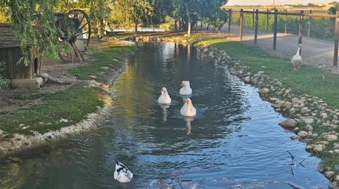 Photo 5 of Country house for sale in Carrer Roderes, 9, Vilanova de Segrià, Lleida