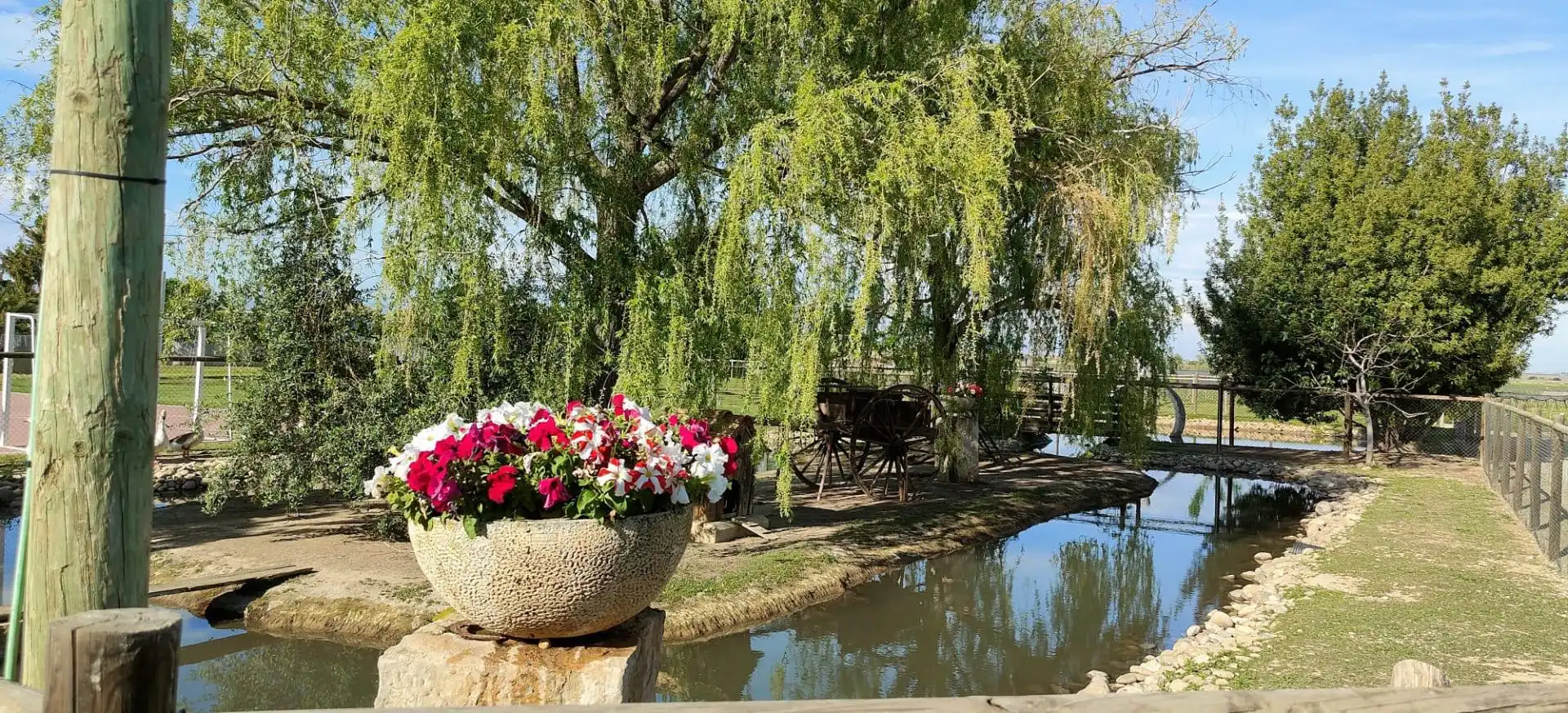 Finca rústica en venta en Carrer Roderes, 9, Vilanova de Segrià Finca rústica en venta en Carrer Roderes, 9, Vilanova de Segrià
