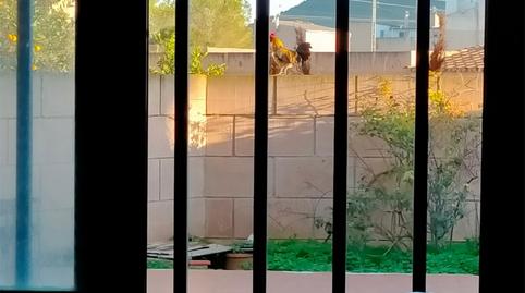 Photo 2 of Flat for sale in Ronda Antoni Ramis, 161, Llucmajor pueblo, Illes Balears