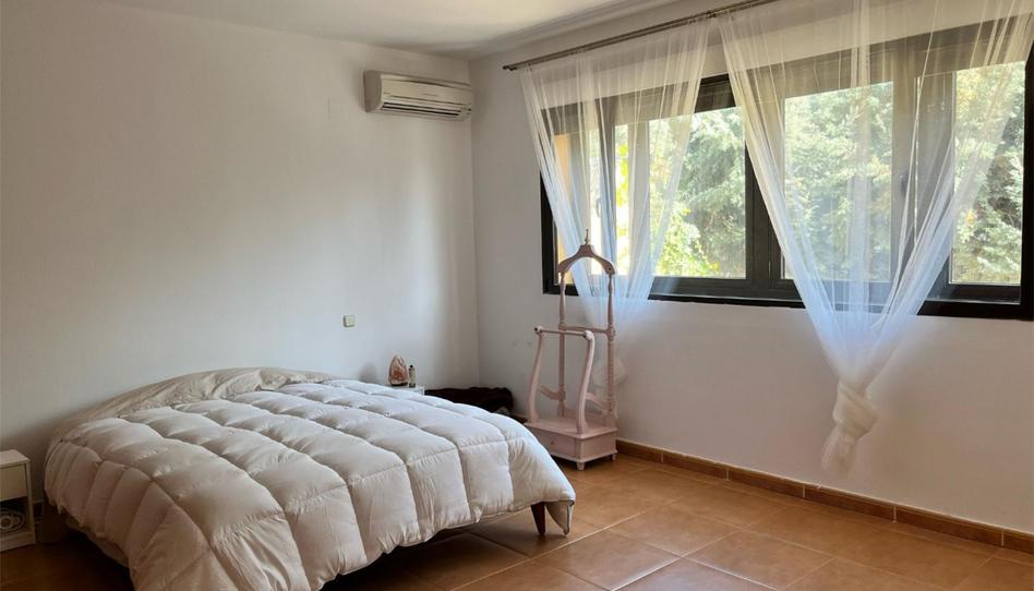Planta baja to rent in Avenida Pino Alto, 1y, Pino Alto - Navarredonda, Madrid - image 1 Photo 1 of Planta baja to rent in Avenida Pino Alto, 1y, Pino Alto - Navarredonda, Madrid