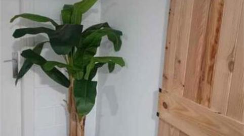 Study to rent in Arroyo de la Miel, Málaga - image 5 Photo 5 of Study to rent in Arroyo de la Miel, Málaga