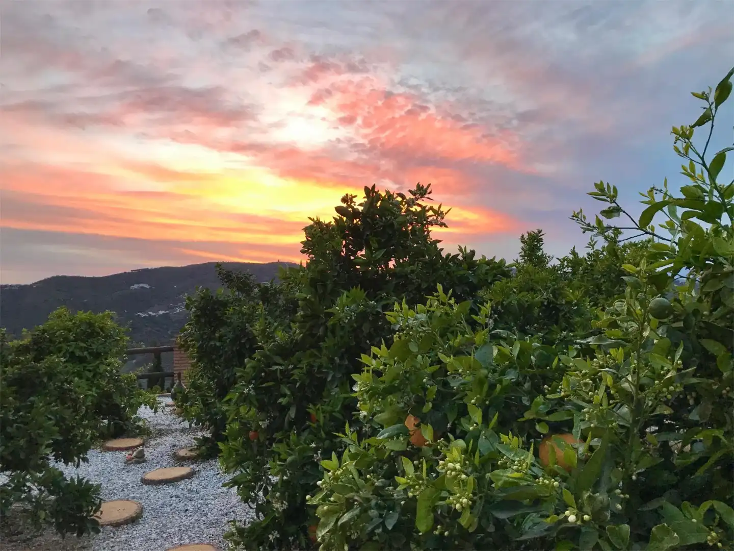 Country homes for sale in Plaza de la Constitucion, 13, Canillas de Aceituno Garden of Country homes for sale in Canillas de Aceituno with Air Conditioner, Terrace and Swimming Pool