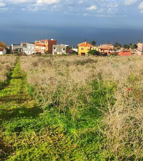 Photo 2 of Land for sale in Calle Jardín del Sol, 150a, Santa Catalina, Tacoronte