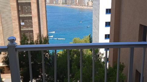 Estudi en venda a Calle Alcalde Manuel Catalán Chana, 7, Rincón Alto, Alicante - imatge 3 Foto 3 de Estudi en venda a Calle Alcalde Manuel Catalán Chana, 7, Rincón Alto, Alicante