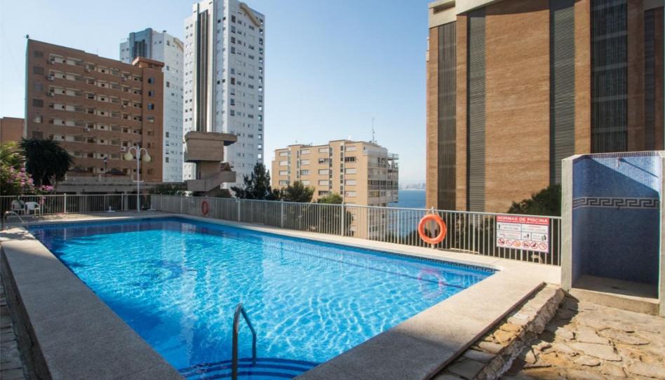 Estudi en venda a Calle Alcalde Manuel Catalán Chana, 7, Rincón Alto, Alicante - imatge 1 Foto 1 de Estudi en venda a Calle Alcalde Manuel Catalán Chana, 7, Rincón Alto, Alicante