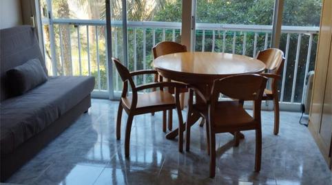 Estudi en venda a Calle Alcalde Manuel Catalán Chana, 7, Rincón Alto, Alicante - imatge 4 Foto 4 de Estudi en venda a Calle Alcalde Manuel Catalán Chana, 7, Rincón Alto, Alicante