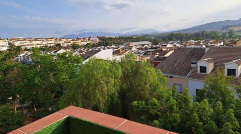 Flat to rent in Calle el Limonar, 3, Pizarra, Málaga - image 4 Photo 4 of Flat to rent in Calle el Limonar, 3, Pizarra, Málaga