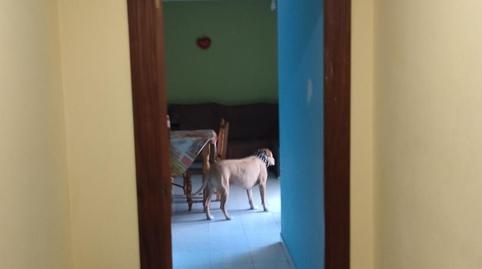 Flat for sale in Rúa Ministro Allende, 5, Vilamartín de Valdeorras, Ourense - image 4 Photo 4 of Flat for sale in Rúa Ministro Allende, 5, Vilamartín de Valdeorras, Ourense