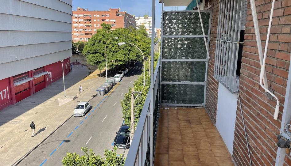 Pis de lloguer a Calle José Luis de Casso, 28, La Buhaira, Sevilla - imatge 1 Foto 1 de Pis de lloguer a Calle José Luis de Casso, 28, La Buhaira, Sevilla