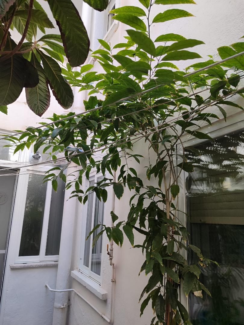 Flat for sale in Calle Cabeza de Vaca, 15, Garrido Sur Garden of Flat for sale in Salamanca Capital with Terrace and Balcony