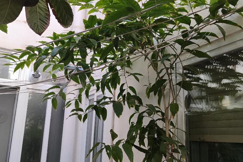 Flat for sale in Calle Cabeza de Vaca, 15, Garrido Sur, Salamanca - image 1 Photo 1 of Flat for sale in Calle Cabeza de Vaca, 15, Garrido Sur, Salamanca