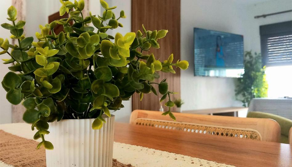 Pis de lloguer a Calle Sur, 28, Isla Cristina Ciudad, Huelva - imatge 1 Foto 1 de Pis de lloguer a Calle Sur, 28, Isla Cristina Ciudad, Huelva