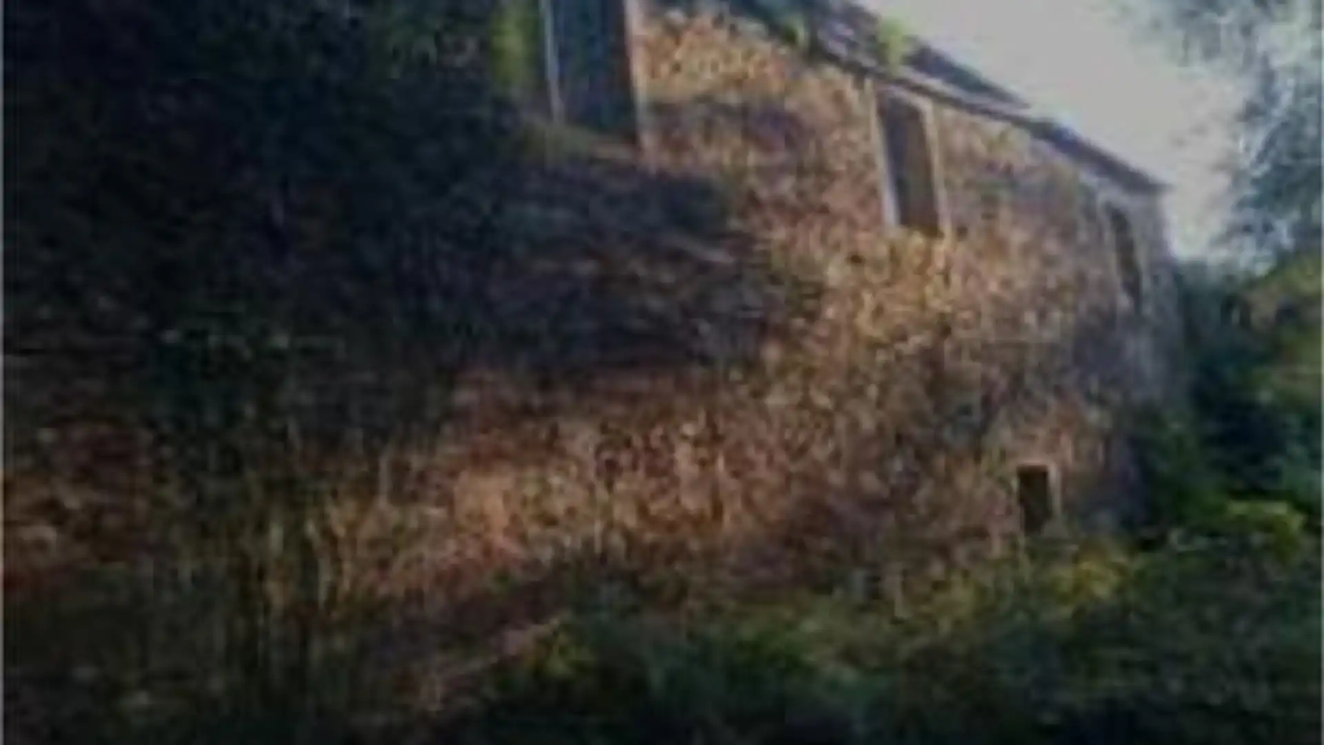 Vista exterior de Casa o chalet en venta en Guitiriz con Jardín privado