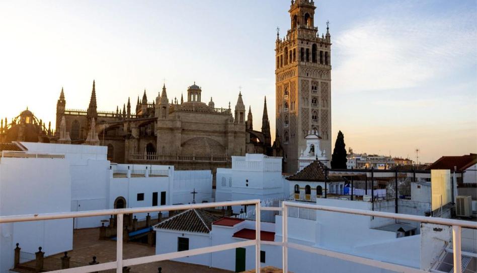 Attic to rent in Square Plaza de la Alianza, 3, Alfalfa - Santa Cruz, Sevilla - image 1 Photo 1 of Attic to rent in Square Plaza de la Alianza, 3, Alfalfa - Santa Cruz, Sevilla