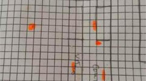 Photo 4 of Flat to rent in Corea, Valencia