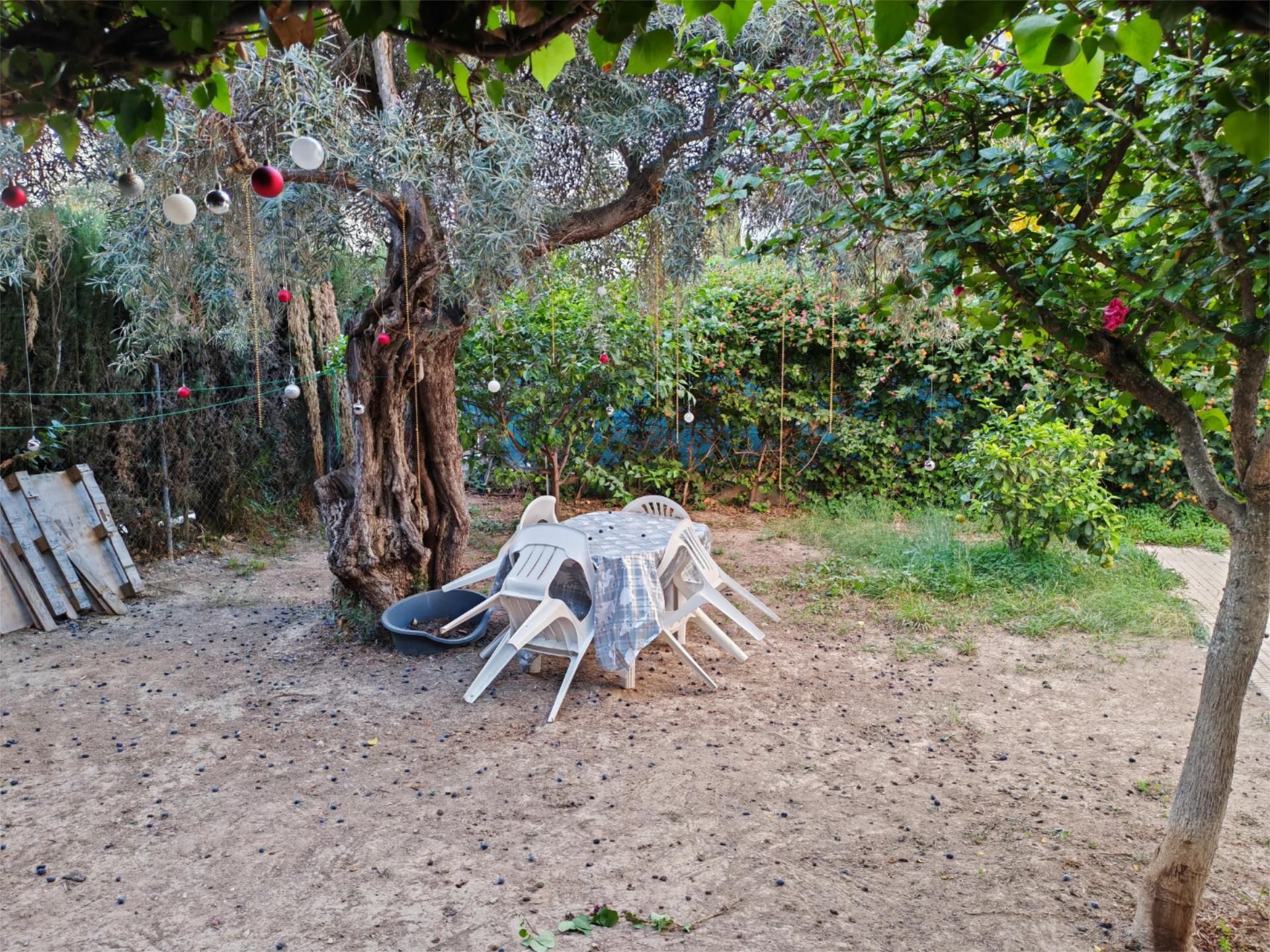 Flat to rent in Camí Reial de la Vila Joiosa, 57, Playa Muchavista Garden of Flat to rent in El Campello with Terrace