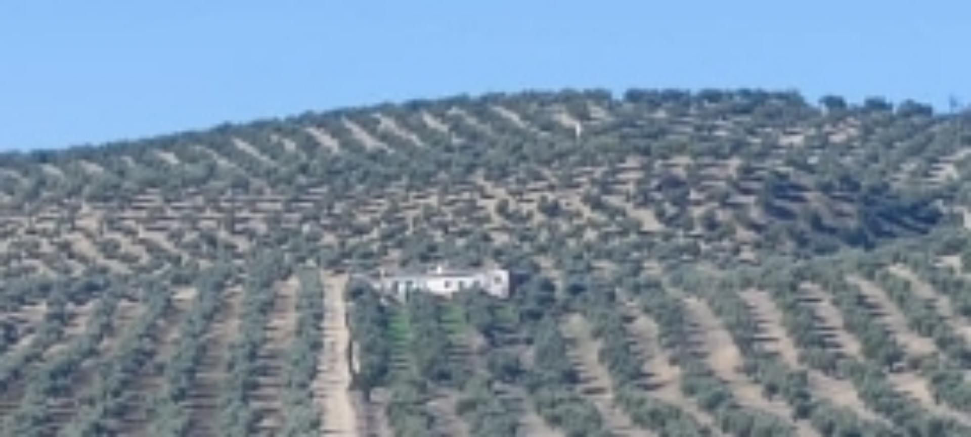 Land for sale in Cañete de las Torres