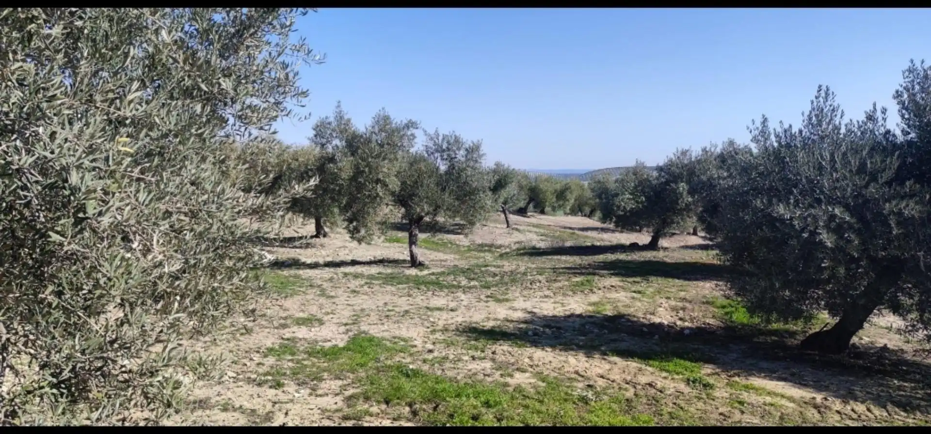Grundstücke zum Verkauf in Lugar Diseminados, 44, Cañete de las Torres Grundstücke zum Verkauf in Cañete de las Torres