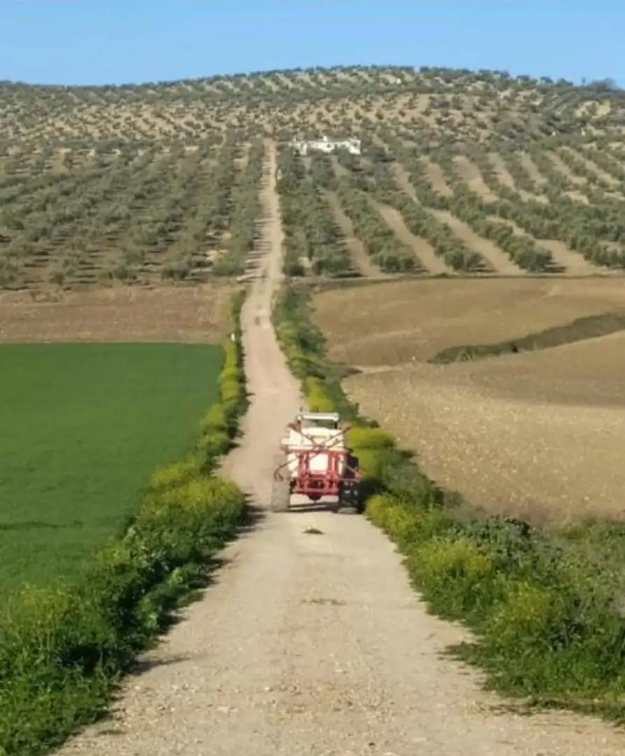 Grundstücke zum Verkauf in Lugar Diseminados, 44, Cañete de las Torres Außenansicht von Grundstücke zum Verkauf in Cañete de las Torres