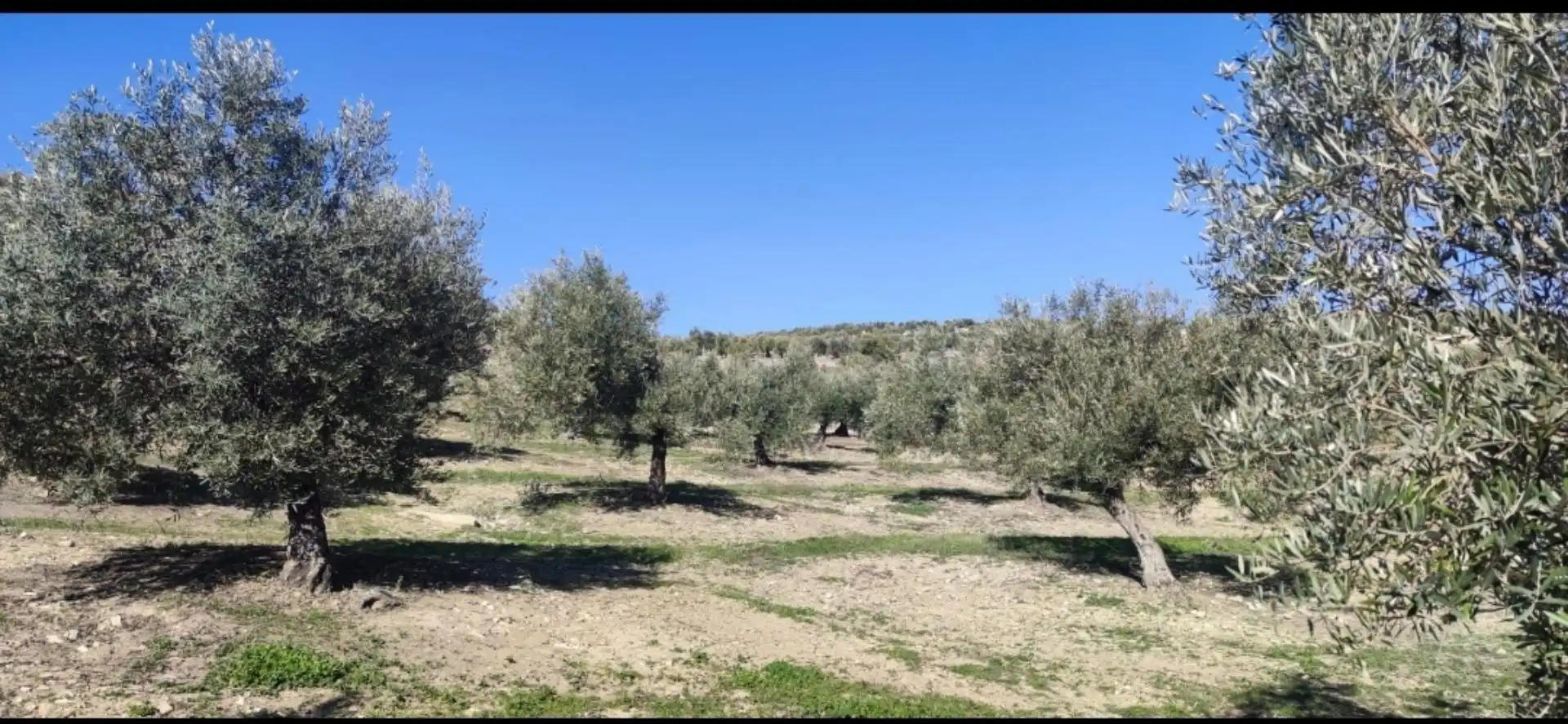 Grundstücke zum Verkauf in Lugar Diseminados, 44, Cañete de las Torres Grundstücke zum Verkauf in Cañete de las Torres