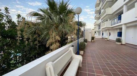 Apartment to rent in Cortijo Torrequebrada, Málaga - image 5 Photo 5 of Apartment to rent in Cortijo Torrequebrada, Málaga